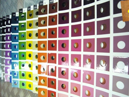 ボディカラーを選ぶ